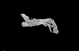 MicroCT扫描检测实验服务，助力科研~